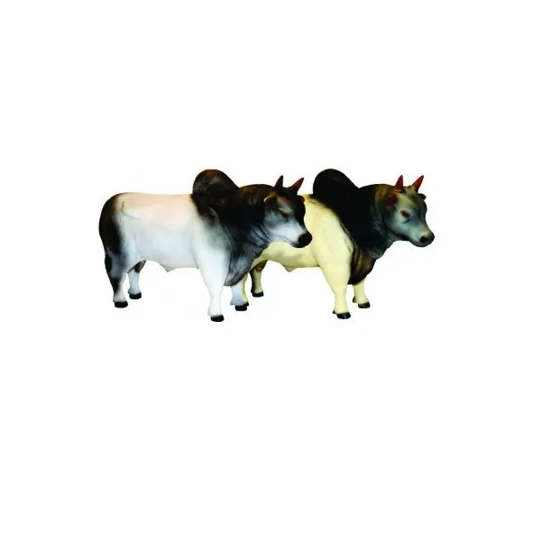 Touros Diversos Rotobrinq 30cm 