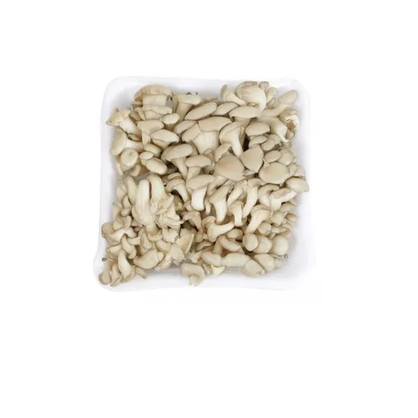 Cogumelo Takoish Shimeji 200g