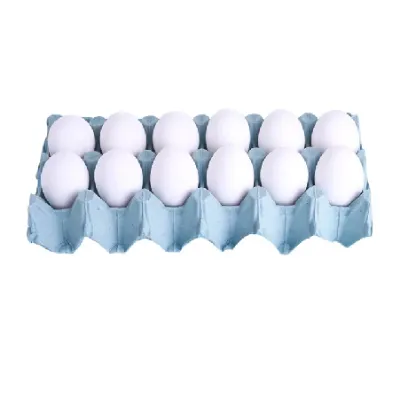 Ovos Dom Bosco Filmado Extra Brancos com 12un