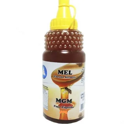 Mel Mgm Bisnaga Florada Silvestre 290g