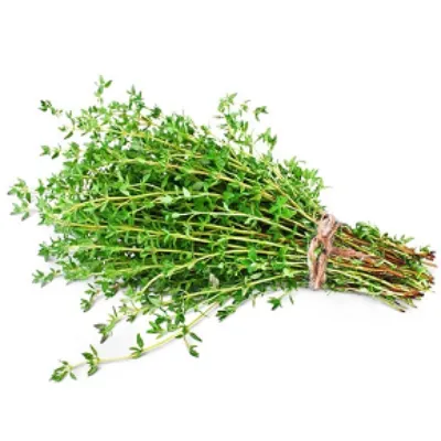 Tomilho Un Inativo 03112022-043518