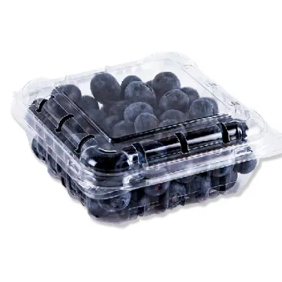 Blueberry Mirtilo 125g