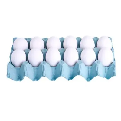 Ovos Branco Iana Filme com 12un