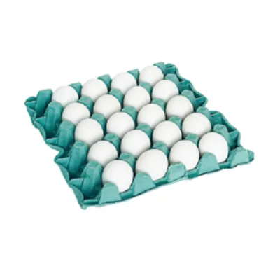 Ovos Branco Iana Filme com 20un