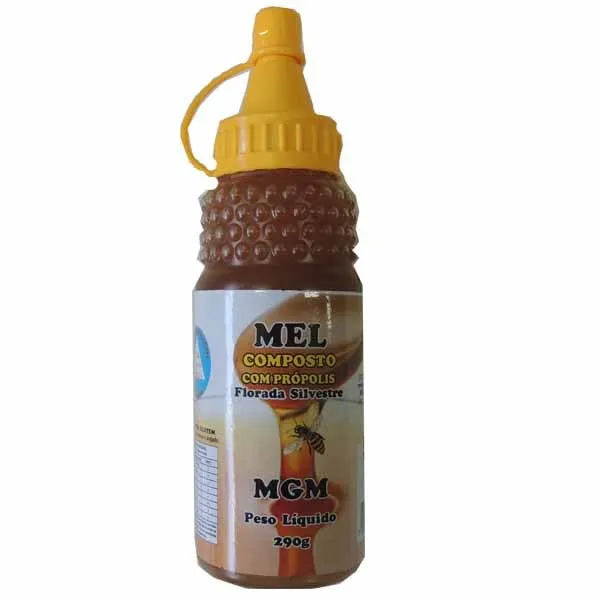 Mel Mgm Bisnaga Florada Silvestre Composto 290g