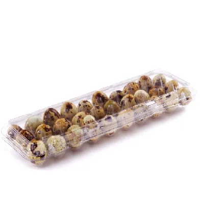 Ovos de Codorna Iana 30un