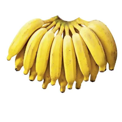 Banana Prata Organica Kg