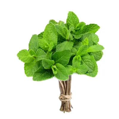 Hortela Organico Un