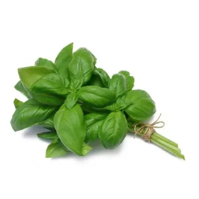 Manjericao Molho Organico Un