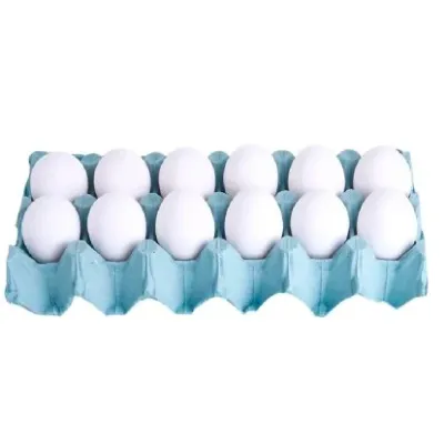 Ovos Granja Violeira Filmado Branco com 12un