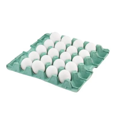 Ovos Branco Extra Iana Filme com 20 Un