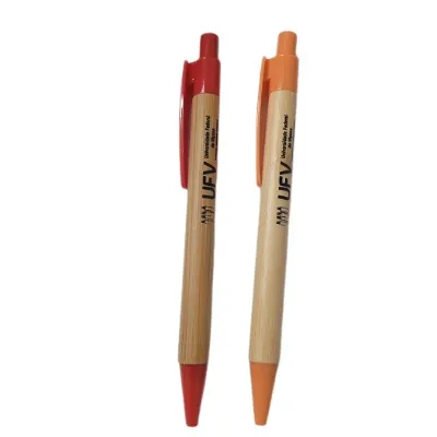 Caneta Bambu Grife Ufv Cores