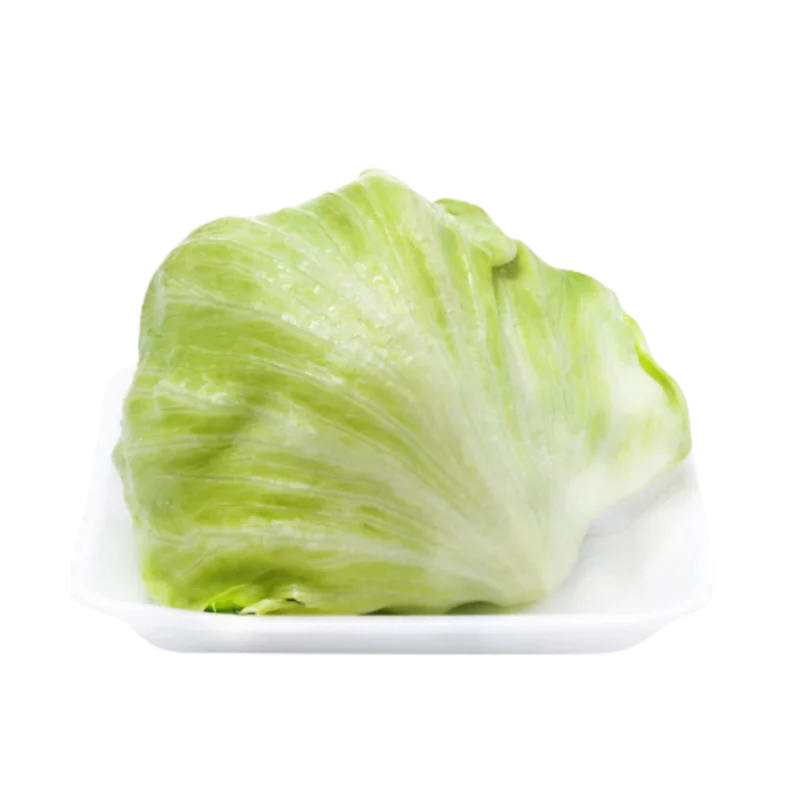 Alface Eleve Americana Band 180g