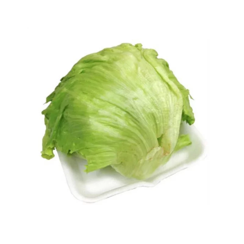 Alface Americana Organica 150g