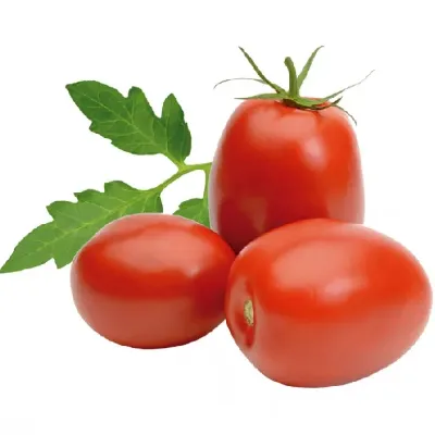 Tomate Italiano Kg